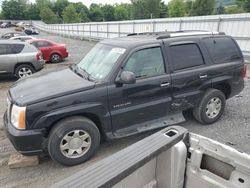 Cadillac salvage cars for sale: 2002 Cadillac Escalade Luxury