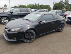 Vehiculos salvage en venta de Copart Denver, CO: 2011 Scion TC