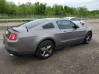 2010 Ford Mustang GT