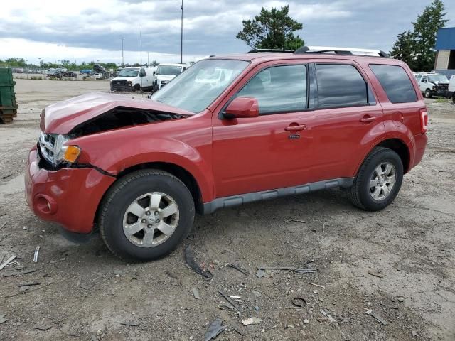 2010 Ford Escape Limited