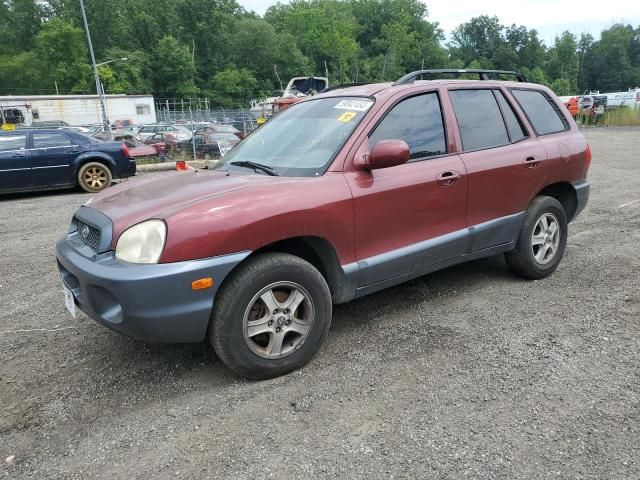 2004 Hyundai Santa FE GLS