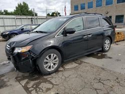 Honda salvage cars for sale: 2014 Honda Odyssey EXL