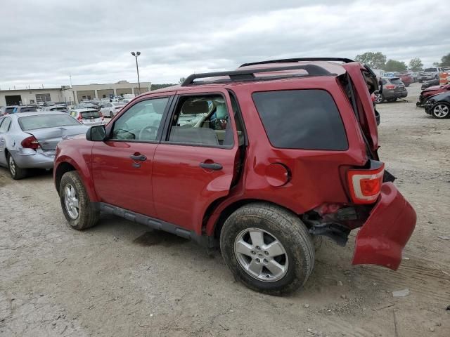 2011 Ford Escape XLT