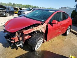 2022 Tesla Model Y en venta en Louisville, KY