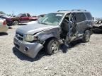 2008 Ford Escape XLS