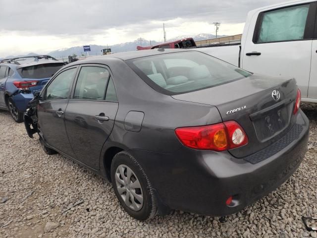 2009 Toyota Corolla Base