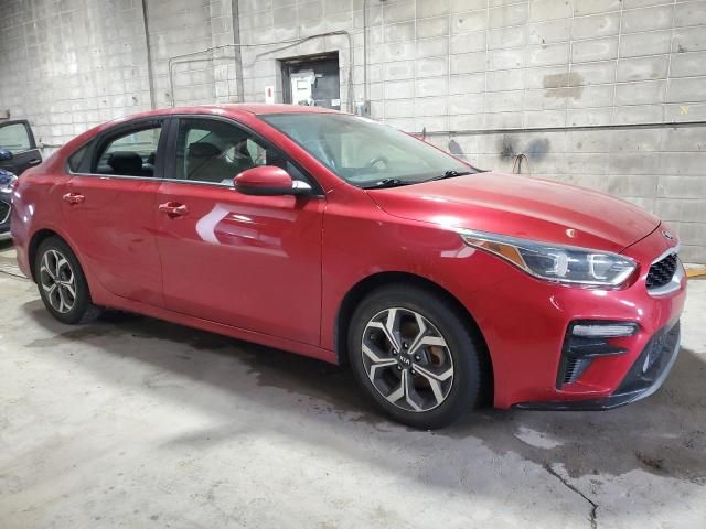 2019 KIA Forte FE