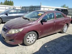 Salvage cars for sale from Copart Arlington, WA: 2009 Toyota Corolla Base