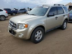 Salvage cars for sale at Brighton, CO auction: 2011 Ford Escape XLT