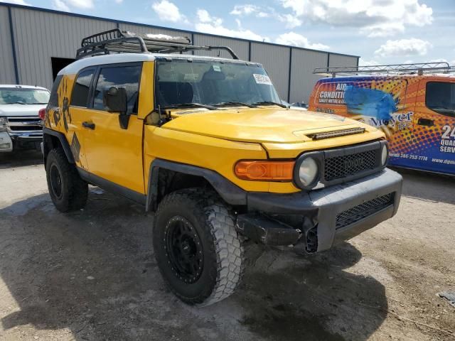 2007 Toyota FJ Cruiser