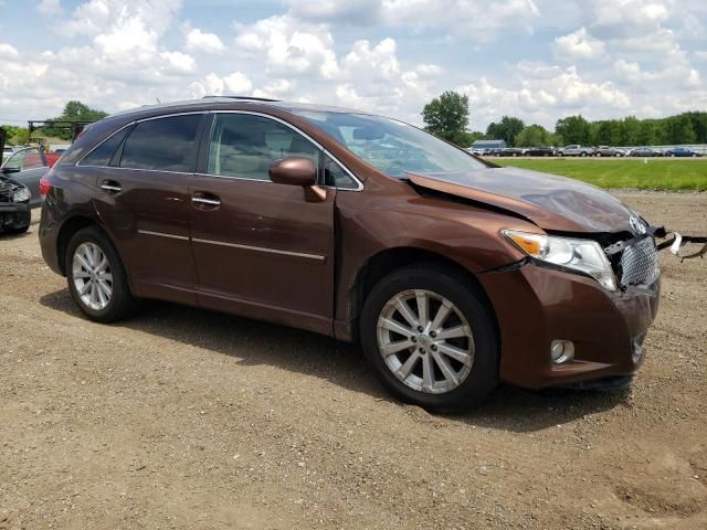 2010 Toyota Venza