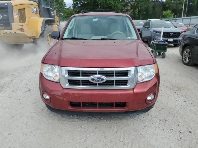 2012 Ford Escape XLT