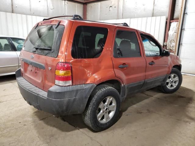 2006 Ford Escape XLT