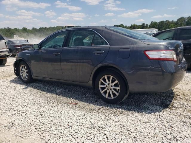 2010 Toyota Camry Hybrid