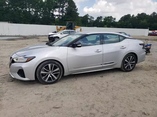 2020 Nissan Maxima SV