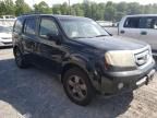 2009 Honda Pilot EX