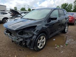 Salvage cars for sale at Elgin, IL auction: 2014 Ford Escape SE