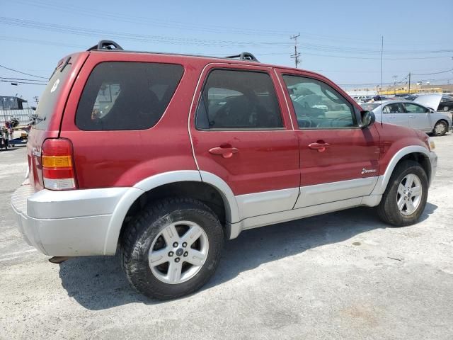 2006 Ford Escape HEV