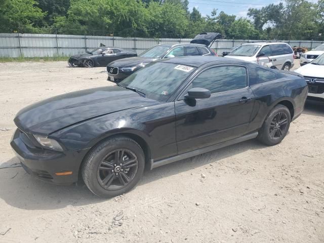 2010 Ford Mustang