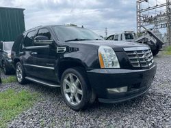 Cadillac Escalade salvage cars for sale: 2013 Cadillac Escalade Hybrid