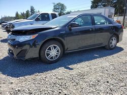 Salvage cars for sale at Graham, WA auction: 2014 Toyota Camry Hybrid