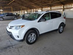 Salvage cars for sale at Phoenix, AZ auction: 2013 Toyota Rav4 LE