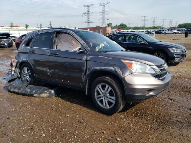 2010 Honda CR-V EXL