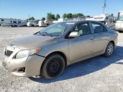 Toyota salvage cars for sale: 2009 Toyota Corolla Base