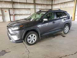 Salvage cars for sale from Copart Phoenix, AZ: 2019 Toyota Rav4 LE
