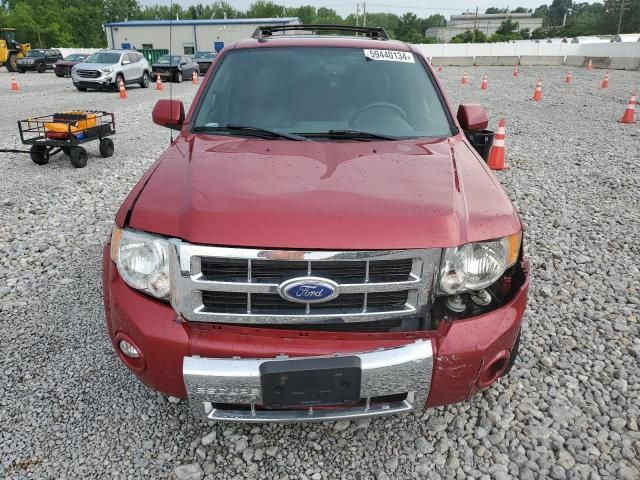 2011 Ford Escape Limited