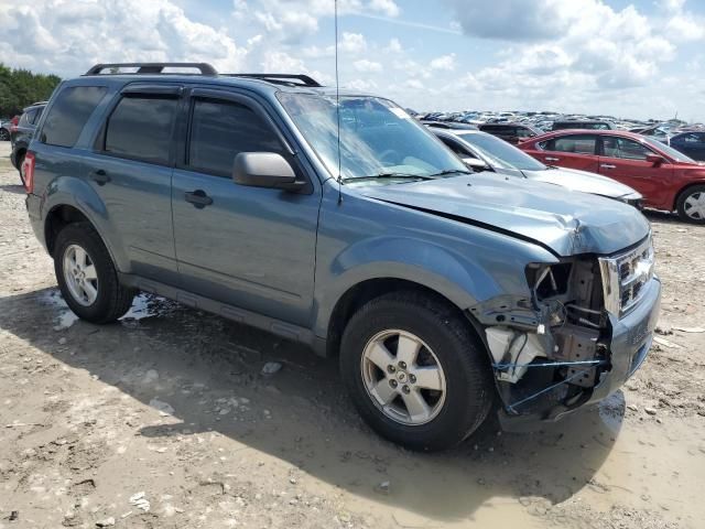 2011 Ford Escape XLT