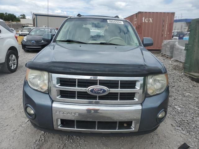 2010 Ford Escape Limited