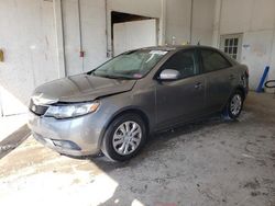 Salvage cars for sale at Madisonville, TN auction: 2013 KIA Forte EX