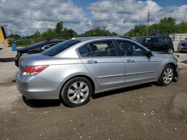 2010 Honda Accord EXL