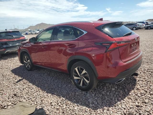 2021 Lexus NX 300 Base