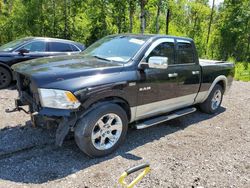 Salvage cars for sale from Copart Ontario Auction, ON: 2009 Dodge RAM 1500