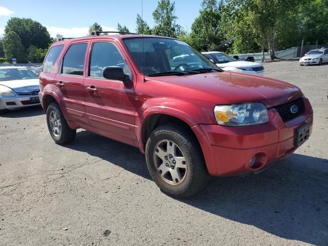 2005 Ford Escape Limited