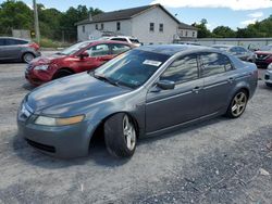 Salvage cars for sale at York Haven, PA auction: 2005 Acura TL