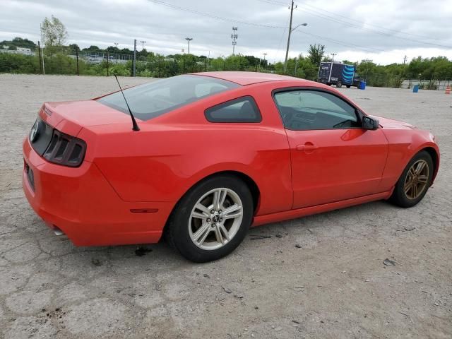 2013 Ford Mustang