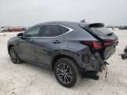 2024 Lexus NX 250 Premium