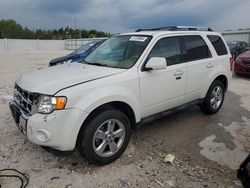 Salvage cars for sale at Franklin, WI auction: 2012 Ford Escape Limited