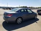 2010 Honda Accord EX