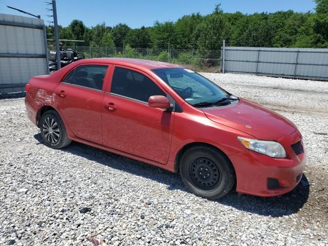 2009 Toyota Corolla Base