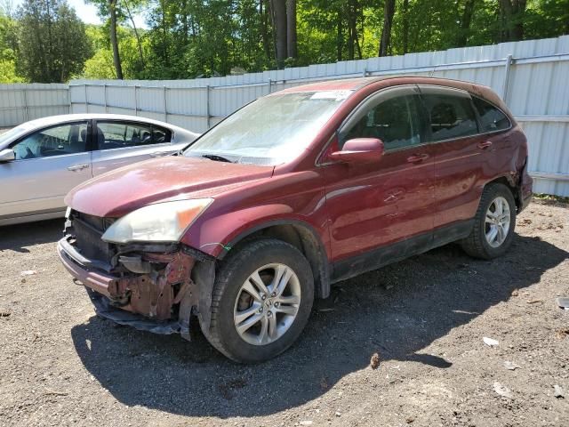 2010 Honda CR-V EXL