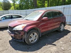 Honda salvage cars for sale: 2010 Honda CR-V EXL