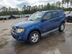 2008 Ford Escape XLT