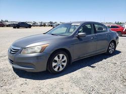 Honda Accord exl Vehiculos salvage en venta: 2008 Honda Accord EXL