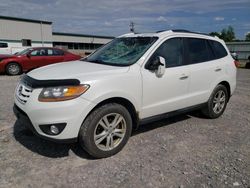 Salvage cars for sale at Leroy, NY auction: 2010 Hyundai Santa FE Limited