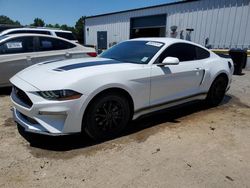 Salvage cars for sale at Shreveport, LA auction: 2019 Ford Mustang