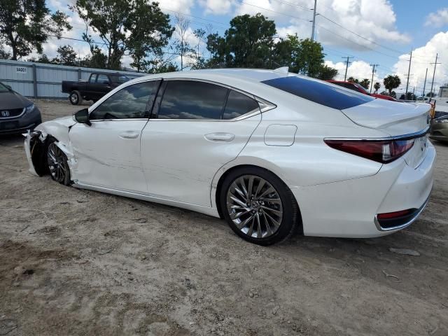 2024 Lexus ES 300H Base